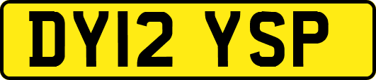 DY12YSP