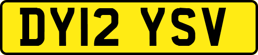 DY12YSV