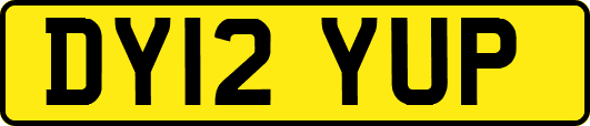 DY12YUP