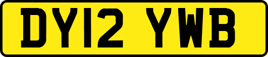 DY12YWB