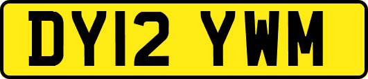 DY12YWM