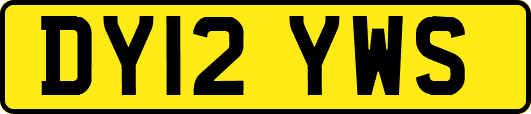 DY12YWS