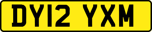 DY12YXM