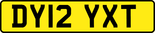 DY12YXT
