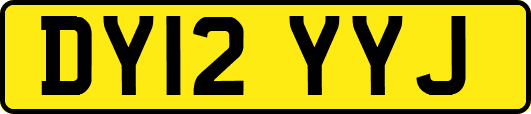 DY12YYJ