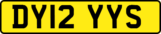 DY12YYS