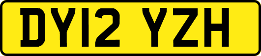 DY12YZH