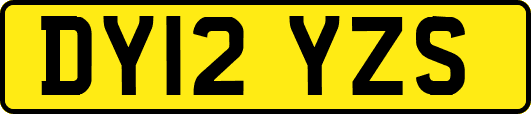 DY12YZS