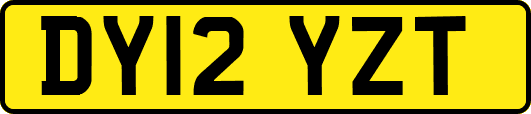 DY12YZT