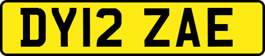 DY12ZAE