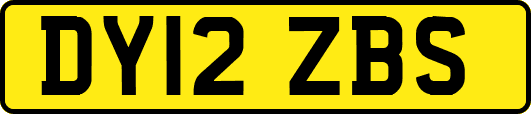 DY12ZBS