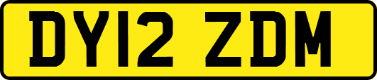 DY12ZDM