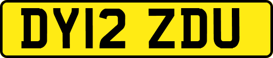 DY12ZDU