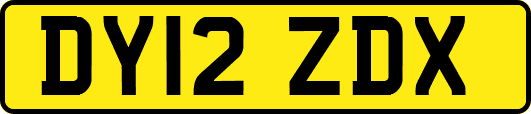 DY12ZDX