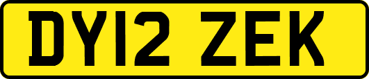 DY12ZEK