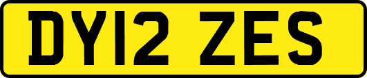 DY12ZES