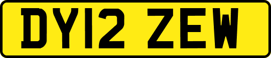 DY12ZEW