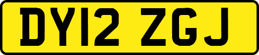 DY12ZGJ