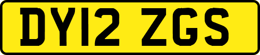 DY12ZGS