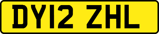 DY12ZHL