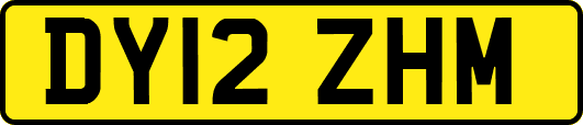 DY12ZHM
