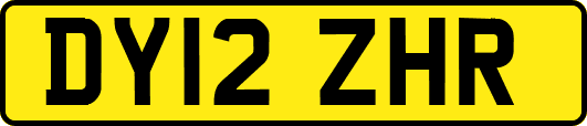 DY12ZHR