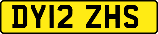 DY12ZHS