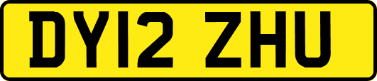 DY12ZHU