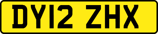 DY12ZHX