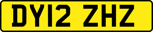 DY12ZHZ