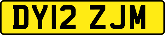 DY12ZJM