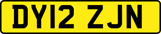 DY12ZJN
