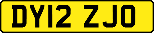 DY12ZJO