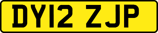 DY12ZJP