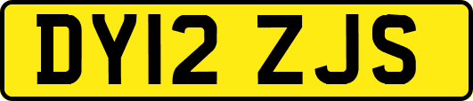 DY12ZJS