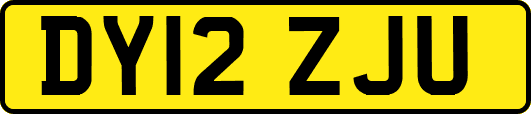 DY12ZJU