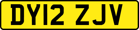 DY12ZJV
