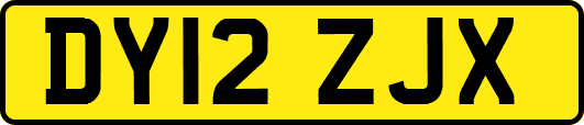 DY12ZJX