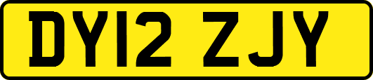 DY12ZJY