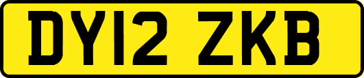 DY12ZKB