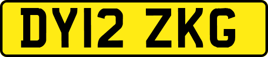 DY12ZKG