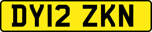 DY12ZKN