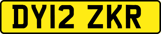 DY12ZKR