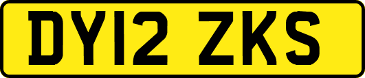 DY12ZKS