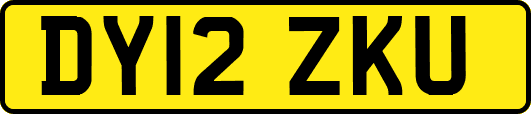 DY12ZKU