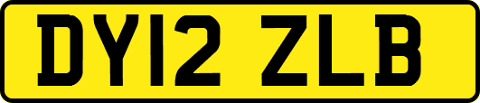 DY12ZLB