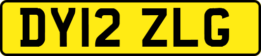 DY12ZLG