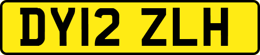 DY12ZLH
