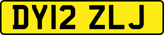 DY12ZLJ