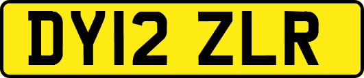 DY12ZLR